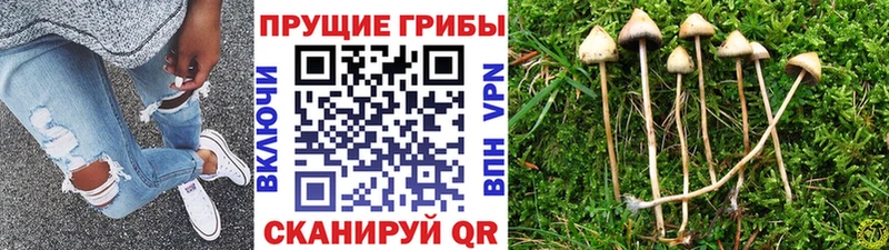 Псилоцибиновые грибы ЛСД  Высоцк 