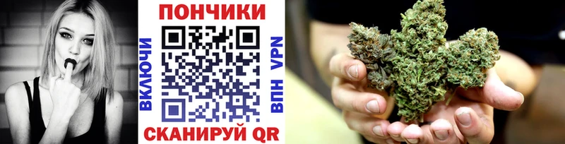 Каннабис планчик блэк спрут tor Высоцк